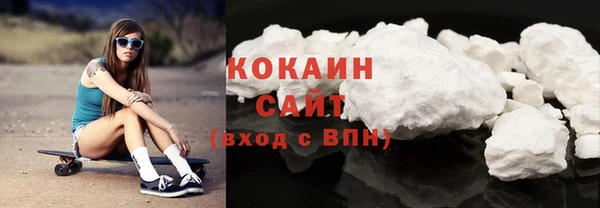 стаф Семилуки