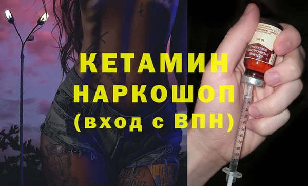 стаф Семилуки