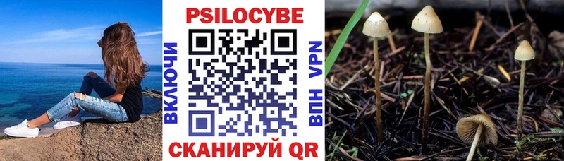 дарнет шоп  Гороховец  Галлюциногенные грибы GOLDEN TEACHER 